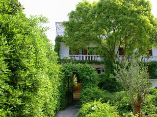 Apartment Stara Novalja  2