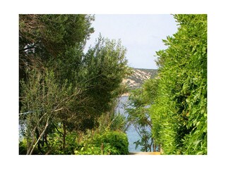 Apartment Stara Novalja  4