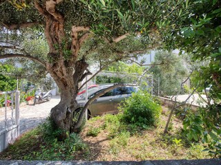 Apartment Rogoznica  10