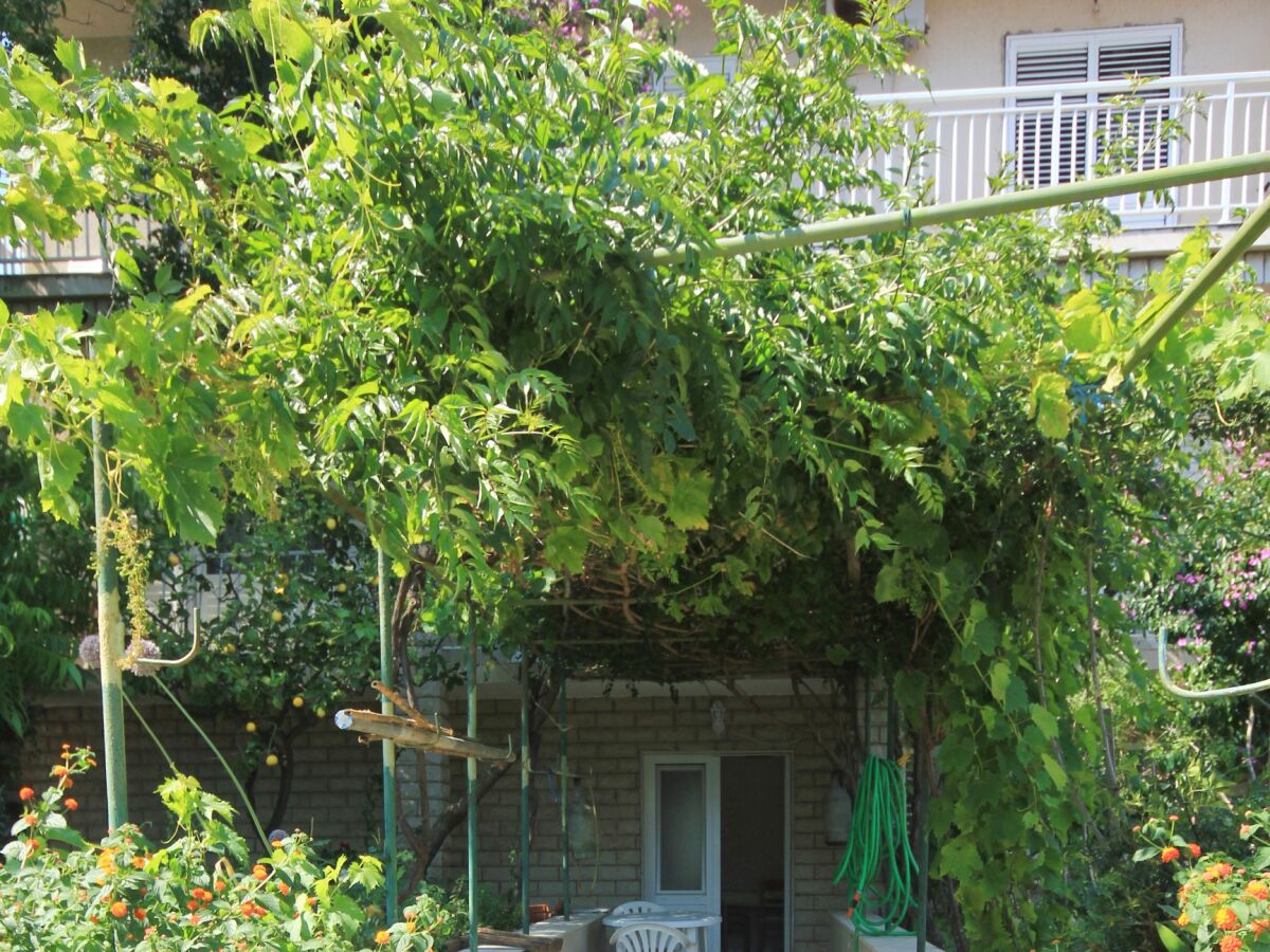 Apartment Korcula (Stadt) 5