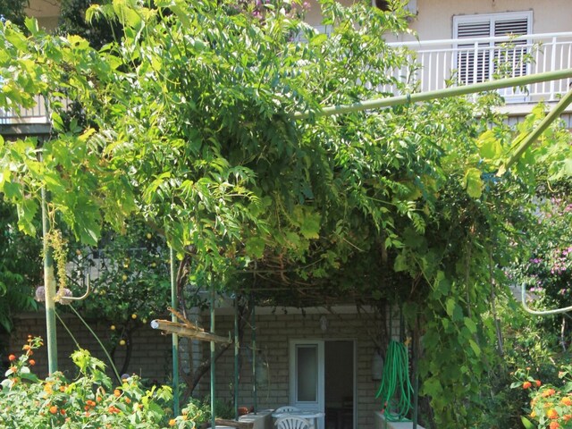 Apartment Korcula (Stadt) 5