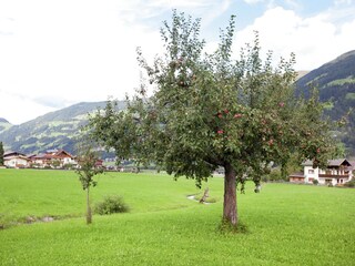 Apartamento Uderns Entorno 30