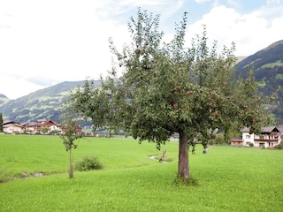 Apartamento Uderns Entorno 40