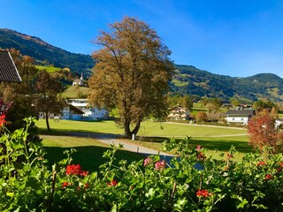 Apartment Uderns Environment 36