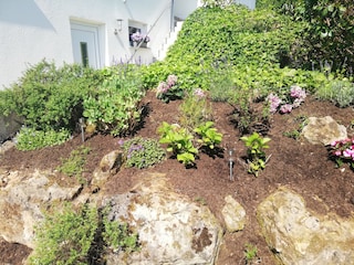 Gartenanlage