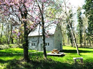 Ferienhaus Gesves Außenaufnahme 4