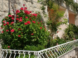 Apartment Tucepi  10