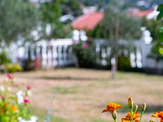 Apartment Rab (Stadt)  12