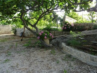 Apartment Zivogosce  6