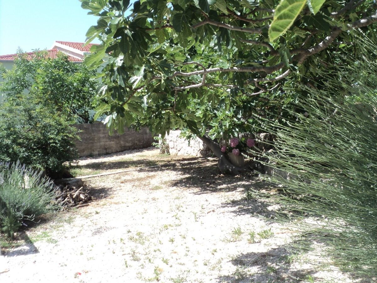 Apartment Zivogosce 10