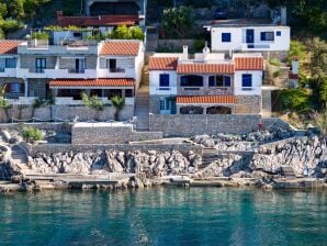 Two bedroom apartment near beach Cove Solotiša, Hvar A-4623-a