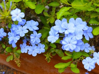 Appartamento Santa Maria (Sal) Ambiente 24