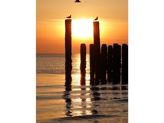 Strand von Zoutelande