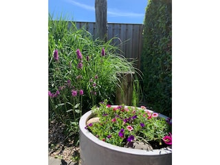 Dünengarten mit Blumen