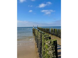 Bungalow Zoutelande Umgebung 36