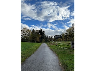 Wander/Radweg Münklingen