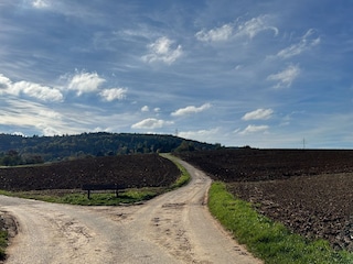 Wander/Radweg Münklingen