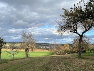 Münklingen Umgebung