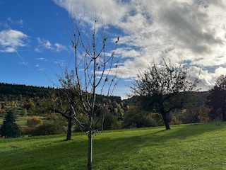 Münklingen Umgebung