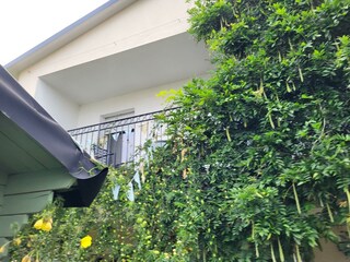 Blick vom Garten auf den Balkon der Ferienwohnung