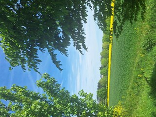 Eifler Landschaft
