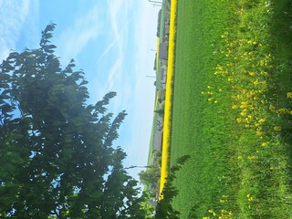 Landschaft in der Eifel
