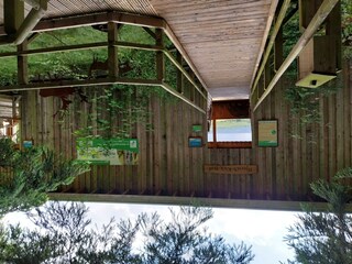 Holzstege