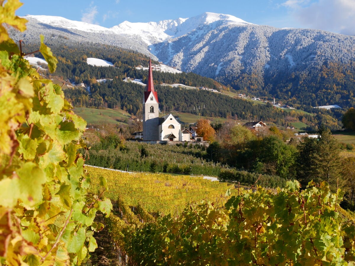 Unser Weinberg