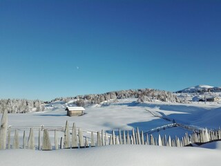 Appartamento per vacanze Natz Ambiente 28