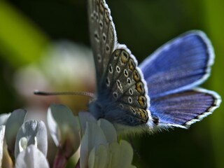Appartamento per vacanze Natz Ambiente 24