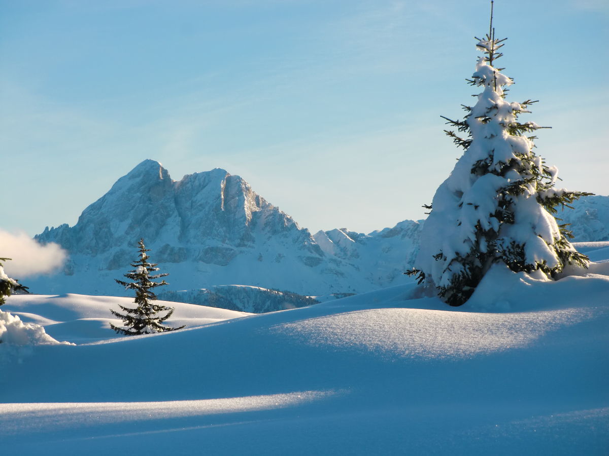 Rodenecker Alm