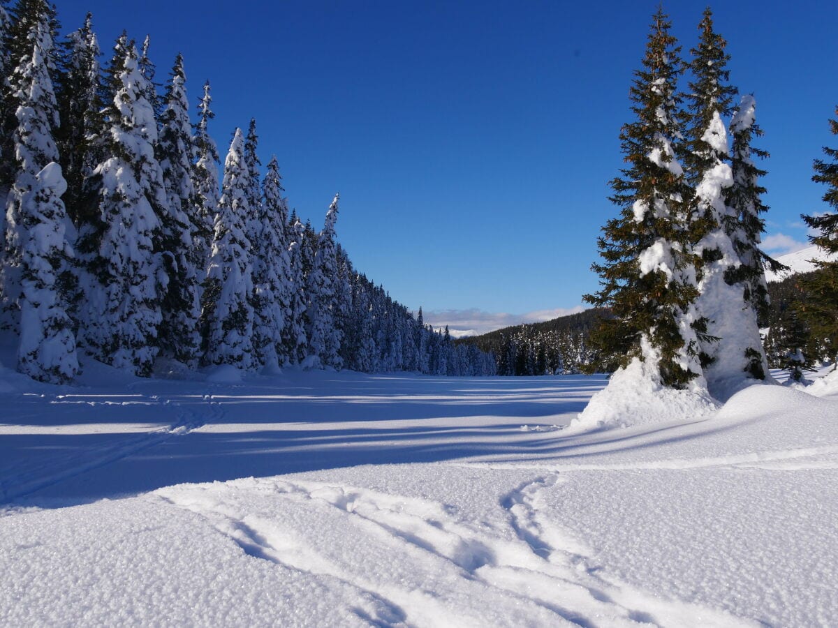 Winterzeit - stille Zeit