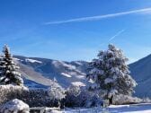 Schwimmbad im Winterschlaf