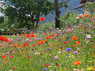 Appartamento per vacanze Natz Registrazione all'aperto 16