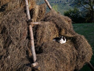 Appartamento per vacanze Natz Registrazione all'aperto 14