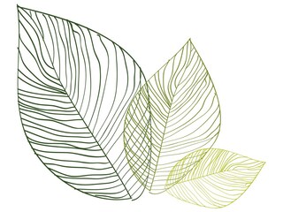 Appartamento per vacanze Natz Documento 35