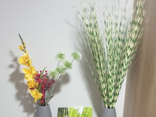 Ferienhaus Privlaka  7