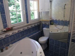 Vakantiehuis Bouillon Kenmerken 16