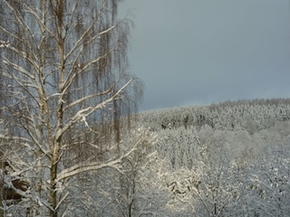 Ferienhaus Bouillon Außenaufnahme 8