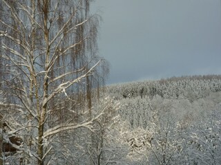 Holiday house Bouillon Outdoor Recording 11