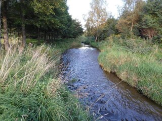 Ferienpark Champdray Umgebung 30