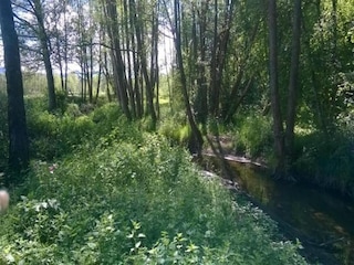 Ferienpark Champdray Umgebung 37