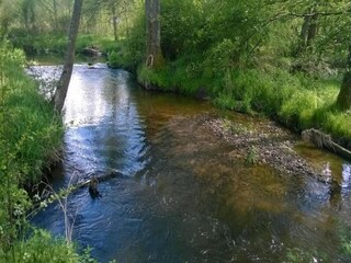 Holiday park Champdray Environment 34