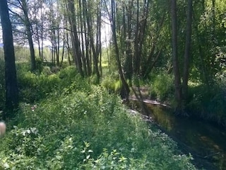 Ferienpark Champdray Umgebung 34