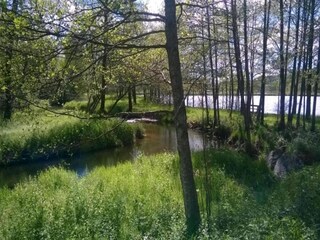 Holiday park Champdray Environment 16