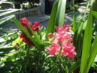 Apartamento Mokošica  11