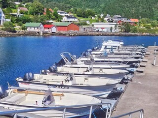 Ferienhaus Sørbøvåg  8