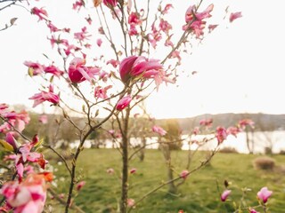 Ferienhaus Ogulin  12