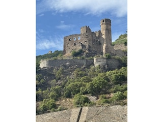 Burg