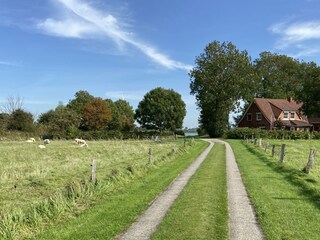 Ferienwohnung Wesselburen Außenaufnahme 2
